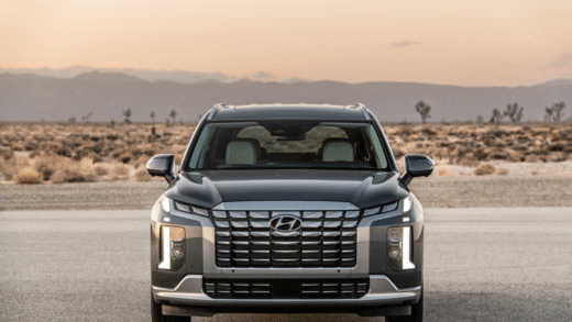 2025 Hyundai Palisade на фоні дороги